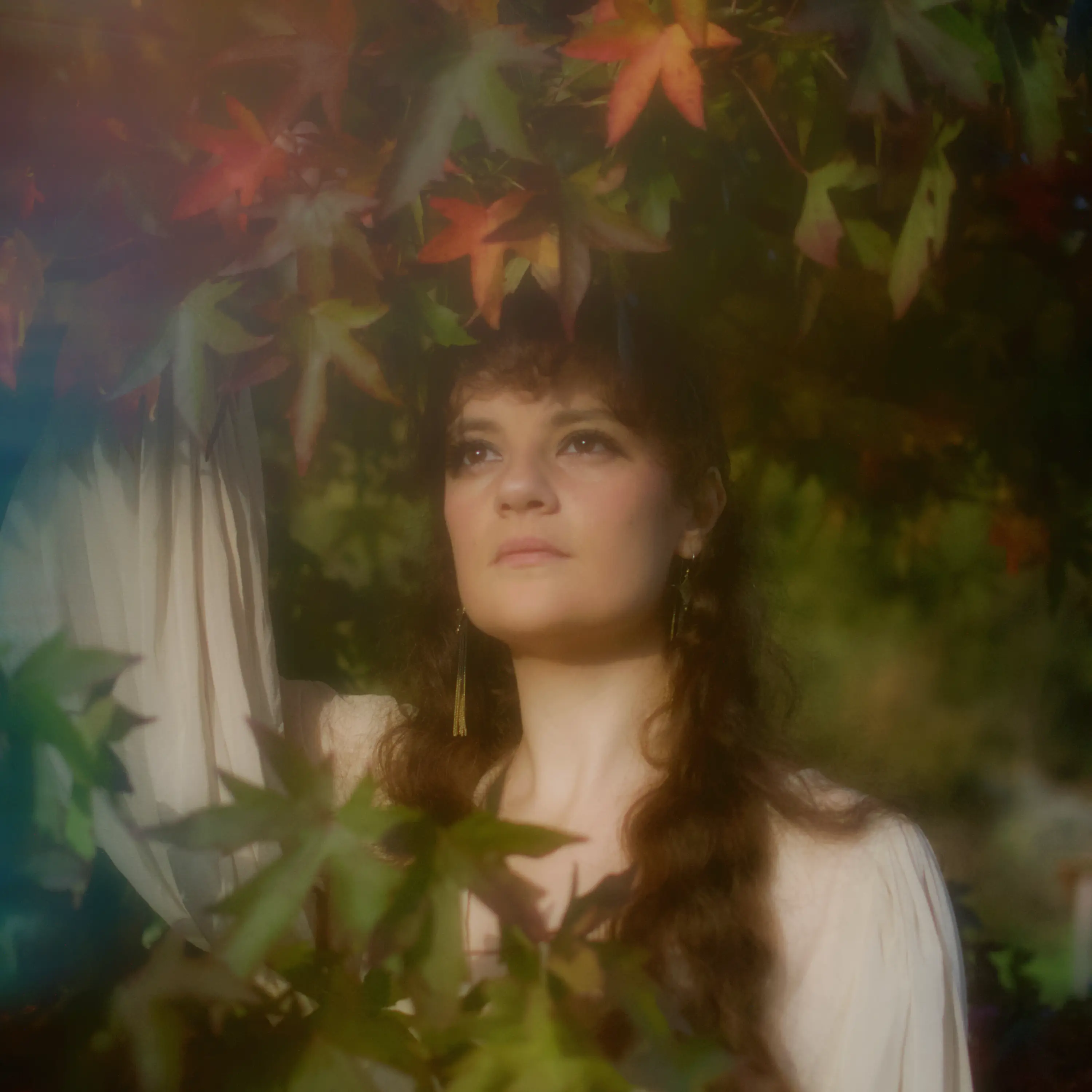 Cover for: Garden Of Falling Light