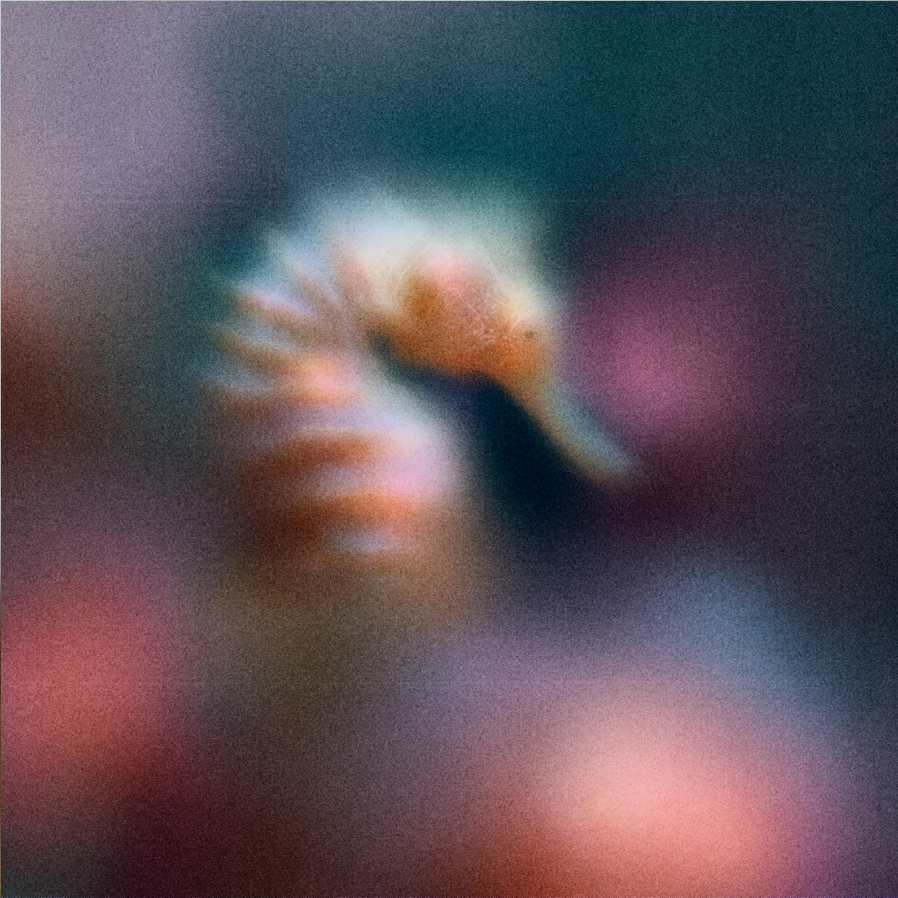 Cover for: Halcyon Phase